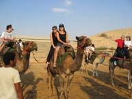Camel Ride in Israel